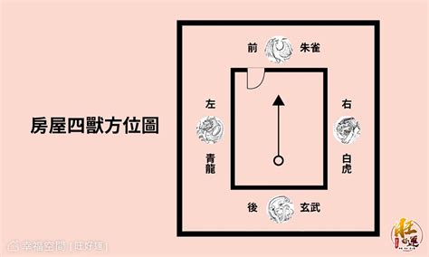 透天厝廁所在龍邊|2025廁所在龍邊怎麼辦？風水配置與解決方法詳解